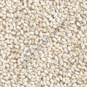 Food Grade Organic White Sesame Seeds, Seed Type : Natural