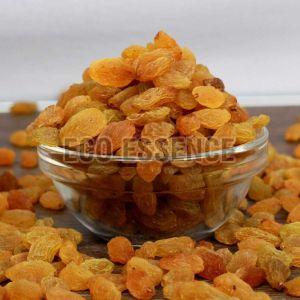 Dried Golden Raisins for Human Consumption
