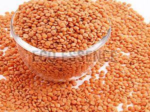 Masoor Dal, Packaging Type : Plastic Bag, Purity : 99.9%