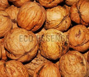 Shelled Walnuts, Packaging Type : Plastic Bag