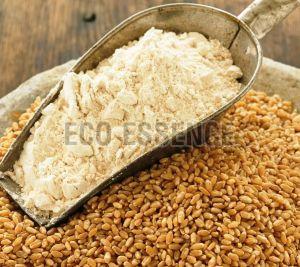 Wheat Flour for Cooking, Packaging Type : Plastic Bag