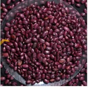 Organic Red Kidney Beans, Packaging Type : PP Bag for Human Consumption