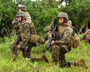 Cotton Military Fabric