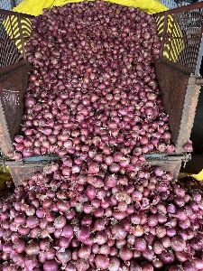 Fresh Red Onions