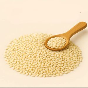 Food Grade Organic White Sesame Seeds, Packaging Size : 25kg, 50kg