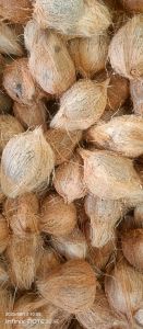Natural Common Fully Husked Coconut Fresh, Form : Solid