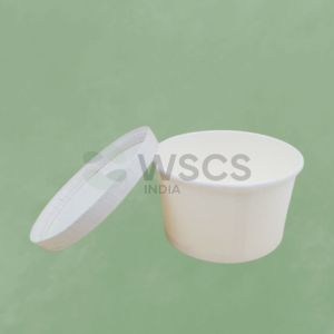 Plain Paper Food Container, Brand Name : Wscs India