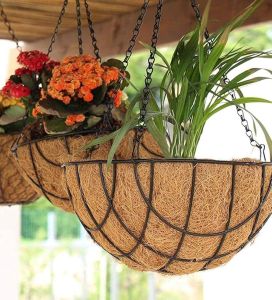 Hanging Basket