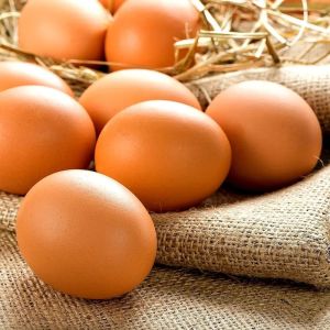 Brown Poultry Eggs