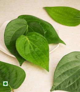 Fresh Betel Leaves