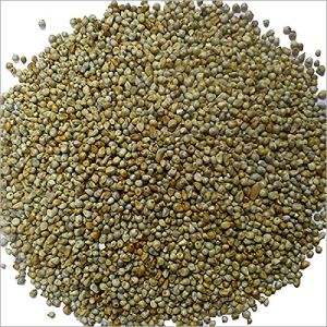 Pearl Millet, Packaging Size : 25kg, 50Kg, Speciality : Gluten Free