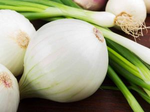 Agrifound White Onion