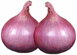 Bhima Jay Rabi Red Onion, Storage Tips : Dry Place for Culinary