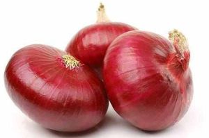 Hybrid Bhima Super Late Kharif Red Onion