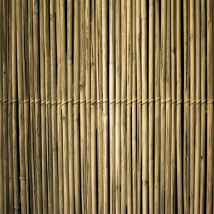 Bamboo Poles, Color : Green, Length : 5-10 Meters