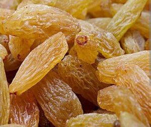 Dry Yellow Kishmish, Taste : Light Sweet