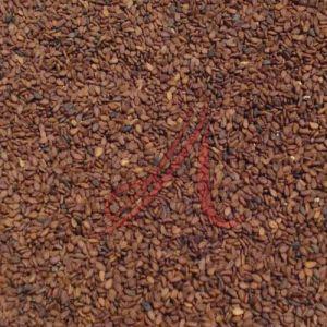Organic Brown Sesame Seeds Dried