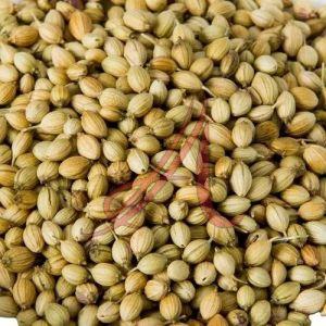 Green Organic Coriander Seeds, Seed Type : Natural Food Grade