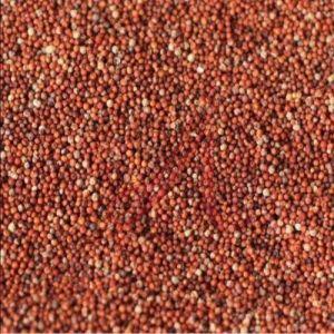 Organic Red Finger Millet Seeds, Seed Type : Natural