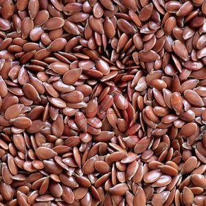 Brown Organic Flax Seeds, Seed Type : Natural