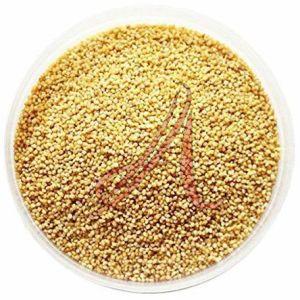 Organic Foxtail Millet Seeds Dried