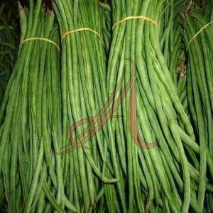 Fresh Asparagus Beans for Cooking, Packaging Size : 25Kg, 50Kg