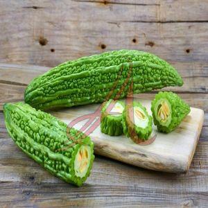 Green Fresh Bitter Gourd, Cultivation Type : Organic for Cooking