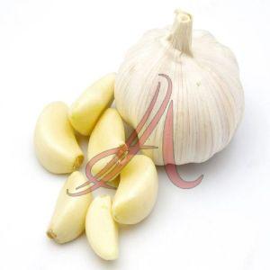 Fresh Garlic, Color : White for Cooking