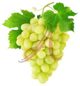 Organic Fresh Green Grapes for Human Consumption