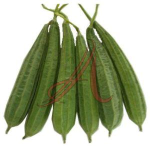 Green Fresh Luffa Acutangula, Cultivation Type : Organic for Cooking