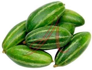 Green Fresh Pointed Gourd, Cultivation Type : Organic for Cooking
