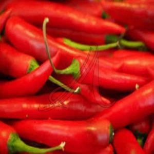 Fresh Red Chilli, Taste : Spicy for Cooking