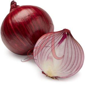 Fresh Red Onion, Cultivation Type : Organic for Cooking