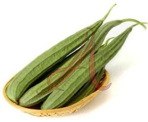 Green Fresh Ridge Gourd, Cultivation Type : Organic for Cooking