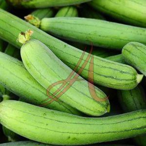 Green Fresh Sponge Gourd, Cultivation Type : Organic for Cooking