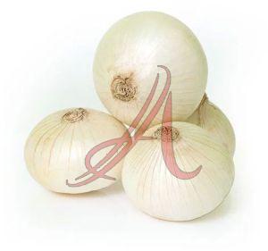 Fresh White Onion, Cultivation Type : Organic for Cooking