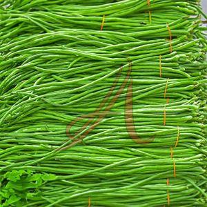 Fresh Yardlong Beans for Cooking, Packaging Size : 25Kg, 50Kg