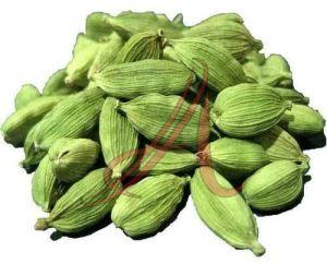 Organic Green Cardamom Food Grade for Cooking