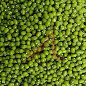 Hard Organic Green Gram for Cooking