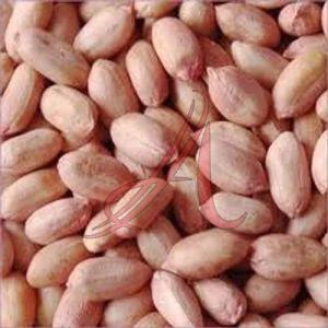 Peanut Seeds, Packaging Type : PP Bags, Shelf Life : 6 Months
