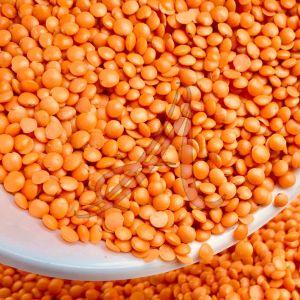 Organic Red Masoor Dal, Speciality : Nutritious, Easy To Cook
