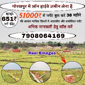 Real Estate Development Services