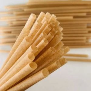 Drinking Straws