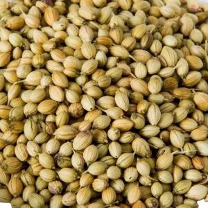 coriander seeds