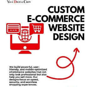 Website Design Service in Delhi