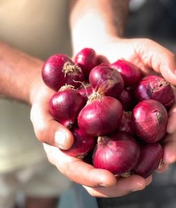 Red Fresh Rose Onion Mesh Bags for Cooking, Salads