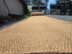 Coir Geotextile