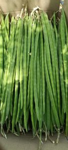 Drumstick Vegetables