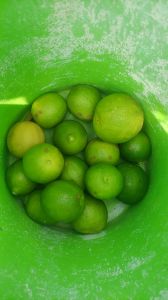 Fresh Organic Lemon, Color : Light Green