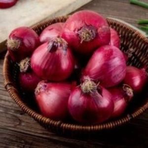 Fresh Onion, Cultivation Type : Natural for Cooking, Restaurant, Food